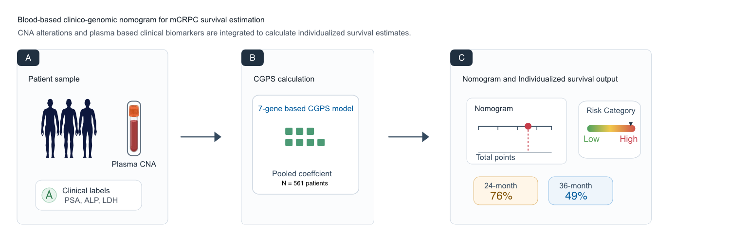 Schematic figure showing 7-gene CGPS inputs, PSA, ALP and LDH clinical factors, Cox nomogram scoring, risk group, and 24- and 36-month survival output.
